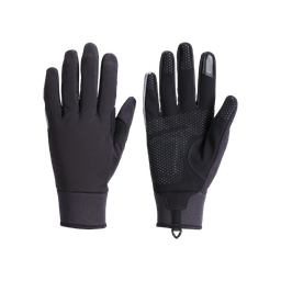 Bbb Bwg-36 Winterhandschoenen Controlzone L Zwart (8716683130096)