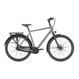 Gazelle CHAMONIX C8 H61 Clay green T8 (Mat) (8717231361368)