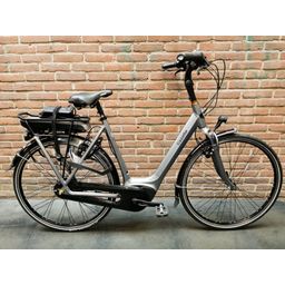 Gazelle orange C7+ hmb (41983.8276803)