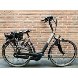 Gazelle orange hmb (42565.8329576)
