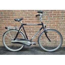 Gazelle Orange (42995.8373131)