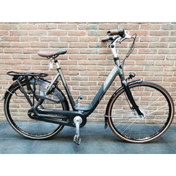 Gazelle orange c8 (42803.8355906)