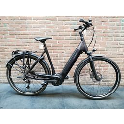 Giant Dailytour E+ 3 Lds 25Km/H L Rosewood (4712878755529)