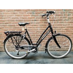 Gazelle fuente (43585.8435442)