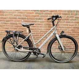 Batavus Dinsdag Exclusive Dn8 Avondgrijs 48 (8713568390927)