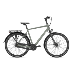 Gazelle CHAMONIX C8 H61 Clay green T8 (Mat) (8717231361368)