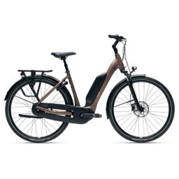 GIANT EXPRESSION E+ DAMES Truffle L L 2024 (4711291056893)
