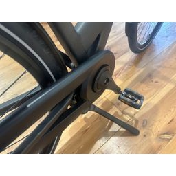 Cortina Common Family Lage instap Black Gold Matte 46cm 2025 (F.11480)