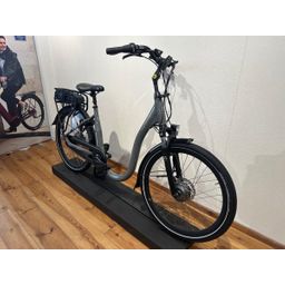 Trenergy Madeira 540Wh Lage instap Coolgray 10c 44cm 2025 (F.11540)
