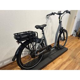 Trenergy Madeira 540Wh Lage instap Coolgray 10c 44cm 2025 (F.11540)
