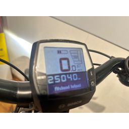 Trek Verve+2 500Wh Bosch Performance Dames Grijs 54cm 2020 (F.11608)
