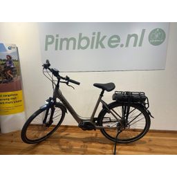 Trek Verve+2 500Wh Bosch Performance Dames Grijs 54cm 2020 (F.11608)