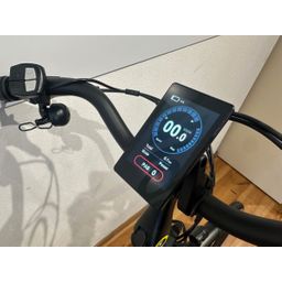 Trenergy Silves FHM 2.5 N7 540Wh Dames Ice Green 49cm 2025 (F.11710)