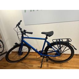 BATAVUS Dinsdag Exclusive Beltdrive Heren Blauw 55cm 2023 (F.11676)