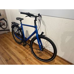 BATAVUS Dinsdag Exclusive Beltdrive Heren Blauw 55cm 2023 (F.11676)