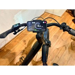 Moustache Mardi 27.6 Automatique OPEN L 2026 Oak Green Metallic L 2026 (F.11782)