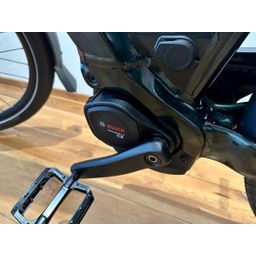 Moustache Mardi 27.6 Automatique OPEN L 2026 Oak Green Metallic L 2026 (F.11782)