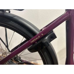 Victoria Tresalo 6 Bosch Performance Smart 545Wh NIEUW! Lage instap Dark Purple 56cm 2025 (F.11826)