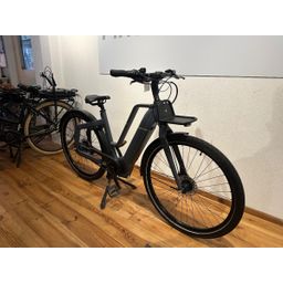 Noord Noord Shimano 6100 Belt Grijs 50cm 2023 (F.11848)