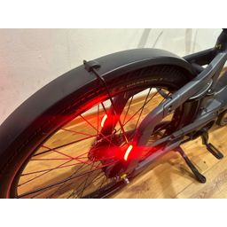 Noord Noord Shimano 6100 Belt Grijs 50cm 2023 (F.11848)