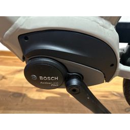 Stella Livorno Premium Bosch Active Line PLUS motor! Pebble Grey 57cm 2023 (F.11860)