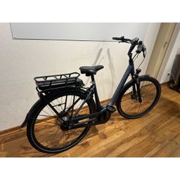 Pegasus Siena E7F Plus (Disc) Steel Blue Matt 50cm 2023 (F.11856)