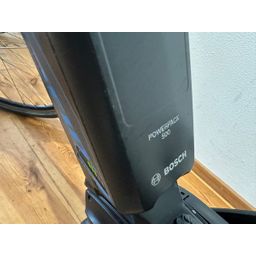 Kreidler Vitality Eco 6 Active Line Plus 500Wh Dames grijs 49cm 2020 (F.11908)