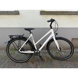 Koga World Traveller Signature Custom Mixed Mixed Alpin White 50cm 2024 (F.12000)