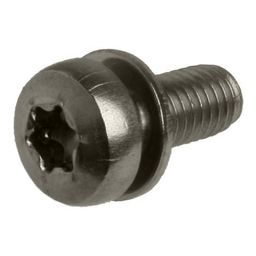 Batavus Anp bout m5x12 torx m/plaat rvs p/st (8715957182403)