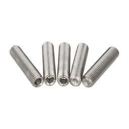 Merkloos ANP BOUT M5X25 INBUS DIN 916 RVS per stuk (8715957552435)
