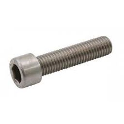 Bofix Bouten rvs inbus m6x30 (8717289115753)