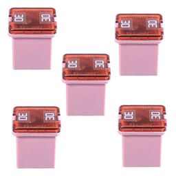 Merkloos Ebp zekering ion accu liion 30ah jcase roze p/stuk (8715957384203)