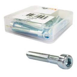 Bofix Bouten rvs inbus m6x40 (8717289115708)
