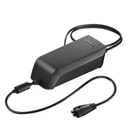 Bosch Standard charger. 4 A oplader. BES2 (4047025220194)