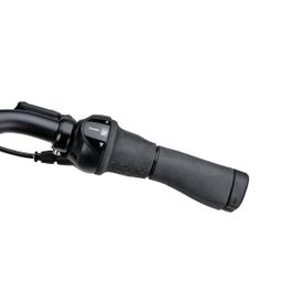 BATAVUS Dinsdag, Zwart Glans (8713568449106)