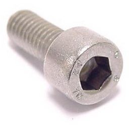 Bofix Bout m5x10 inbus rvs p/stuk. (8717289100674)