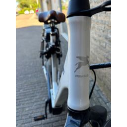 Pegasus E7f superlite Lage instap wit 55cm 2018 (F.27056)