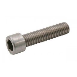 Bofix Bouten rvs inbus m6x30 (8717289115753)