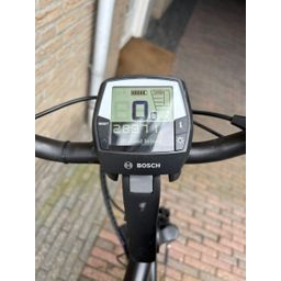 Pegasus Siena E7f Heren zwart 55cm 2018 (3156479632)