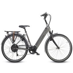 Sparta R10Ti Ltd Dames matt grijs 53cm 2019 (F.27310)
