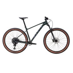 Marin Team Marin Heren Solid Green L 2025 (F.10700)