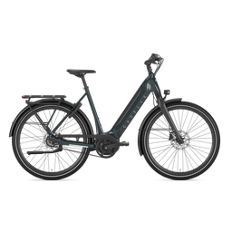 Gazelle ULTIMATE C8+ HMB L57 Pine green S8 (8717231363980)