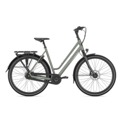 Gazelle CHAMONIX C8 L61 Clay green T8 (Mat) (8717231361337)