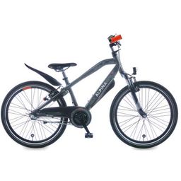 Alpina Trial J26 Space Grey Matt R3 (8719461062664)