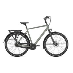 Gazelle CHAMONIX C8 H57 Clay green T8 (Mat) (8717231361351)