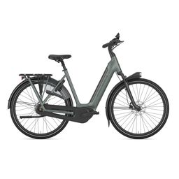 Gazelle GRENOBLE 3.0 C8+ HMB L53 Twilight green S8 (Mat) (8717231004593)