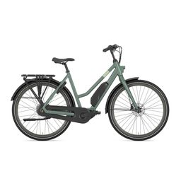 Gazelle ESPRIT C7 HMS L59 Moss green S7 (Mat) (8717231002032)