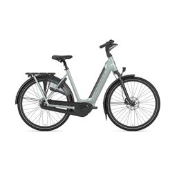 Gazelle GRENOBLE C8 HMB L53 Light olive S8 (8717231371756)