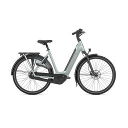 Gazelle GRENOBLE C8 HMB L57 Light olive S8 (8717231371763)