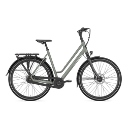 Gazelle CHAMONIX C8 L61 Clay green T8 (Mat) (8717231361337)